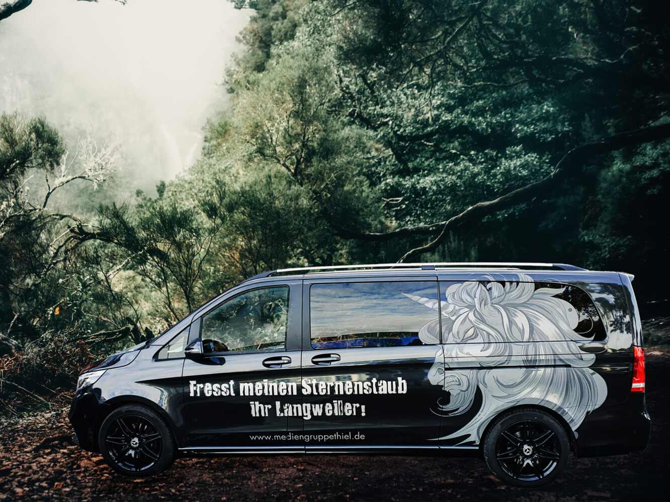 Teilfolierung Auto Mercedes Vito